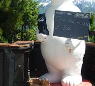 Freilebende Hühner mit Eisbär