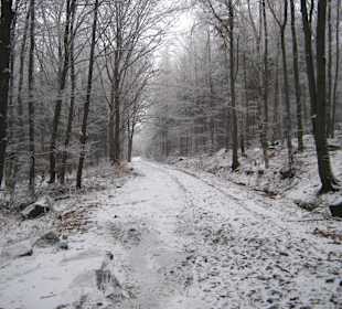 W drodzę na Ślężę