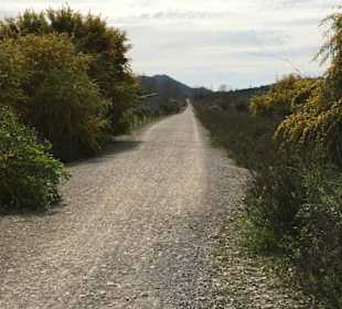 Strecke Radwanderweg
