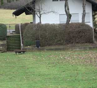 Sportanlage Schönbuch