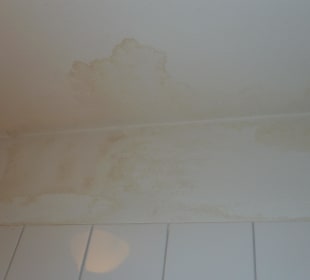 Stockflecken an der Decke