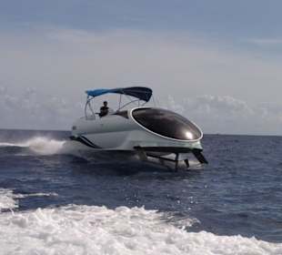 Quest - Hochgeschwindigkeit Glasbodenboot