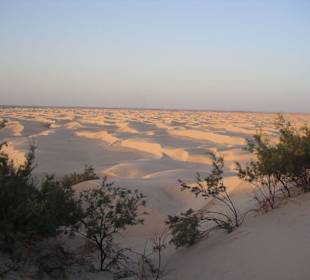 Blick von einer Düne in der Sahara