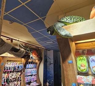 Sealifestore neben Seaquarium