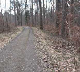 Unterjesinger Wengertwegle