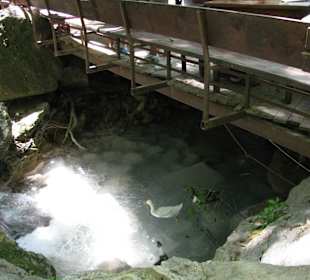 Klares Wasser wo man hin sieht 