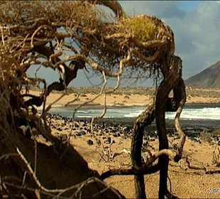 Insel Orzola-La Graziosa