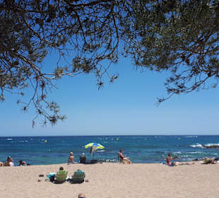 Platja Castello