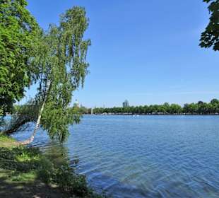 Blick vom Westufer über den Maschsee