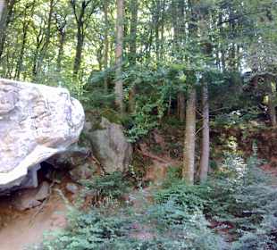 Kleine Luxemburger Schweiz bei Echternach