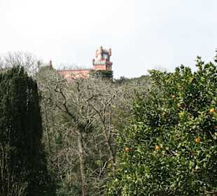 Sintra droga do palacu