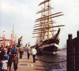 Grosssegler Krusenstern