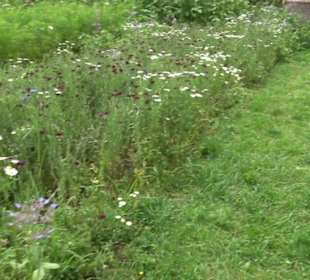 ALB-GOLD Naturgarten