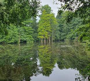 Stadtpark