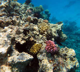 Bilder vom 13.10.16 von mir geschossen