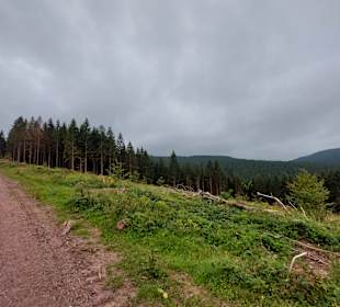 Wandern Friedrichroda