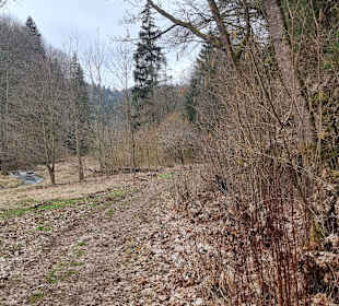 Am Wanderweg entlang Wiesenttal
