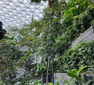 Jewel Changi Airport