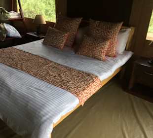 Zebra Plains Camp Amboseli