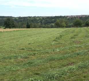 Sonnenaufgangs-Rundwanderung Rübgarten