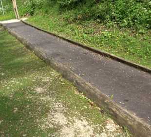 Phäno-Pfad Aichstetten