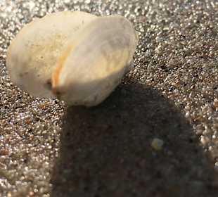 Strand Wisełka / Neuendorf 