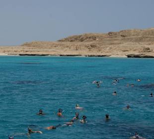 Drugie snurkowanie w drodze  na wyspę Orange