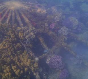 Kleines angelegtes Riff in der kleinen Hotelbucht
