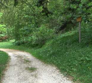 Waldlehrpfad in Tieringen