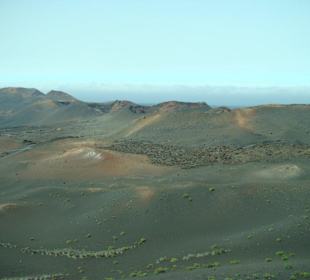 Dieser Ausflug ist gigantisch!