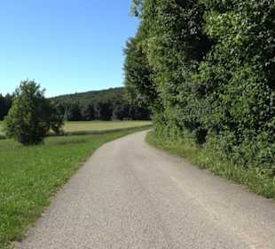 Waldameisen-LehrPfad