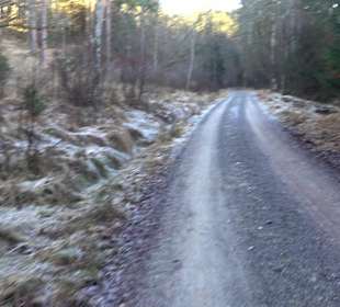 Ochsenweiher Rundweg