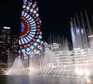 Night Tour Dubai