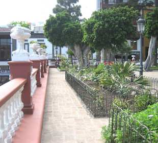 Icod de los Vinos . Plaza de la Iglesia