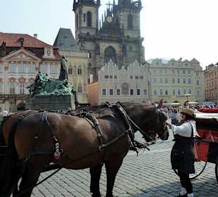 Kutsche wartet auf Gäste