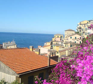 In Riomaggiore