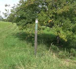 Premiumspazierweg Früchtetrauf-Leisawegle