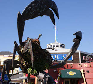 Zugang zu Pier 39