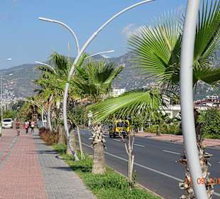 Überquerungsstraße zum Strand