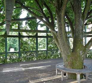 Impressionen von der Tanzfläche