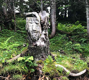 Wandern Nesselwängle