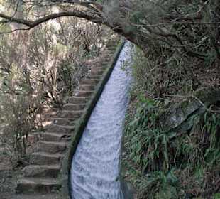 Levada im "Abgang"