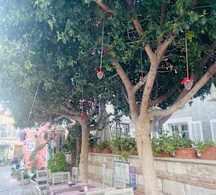 Stadtrundgang Alaçatı