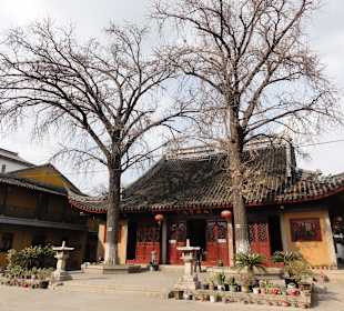 Сад скромного чиновника