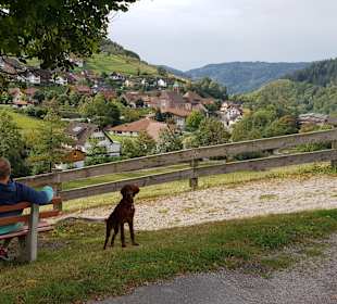 Wandern Mummelsee