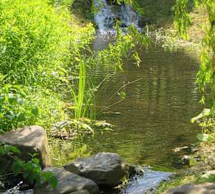 Idyllischer Bachlauf