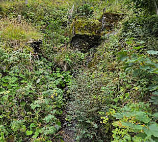 Kleiner Wasserzulauf 