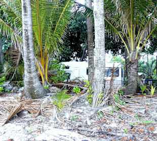 Wonga Beach Caravan und Camping Park