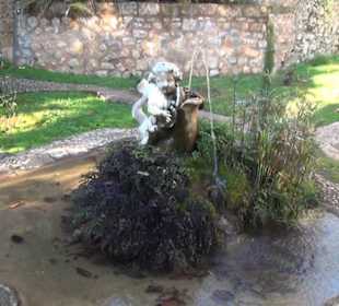 Aussenbereich - Felsengarten