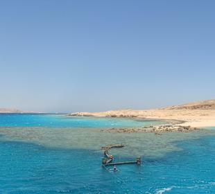 Podróz na wyspę Giftun